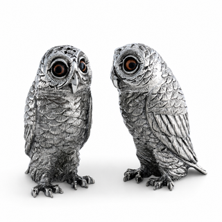 Owl Salt & Pepper Set