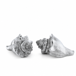 Pewter Conch Shells Salt & Pepper Set