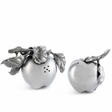 Apple Salt & Pepper Set