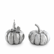 Pumpkin Salt & Pepper Set